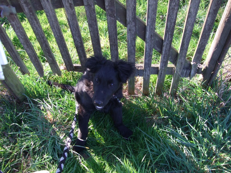 Ostern 2007 Orleshausen 088 